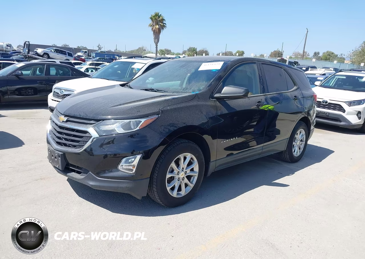 2019 Chevrolet Equinox Ls VIN:2GNAXHEVXK6216684 - 2
