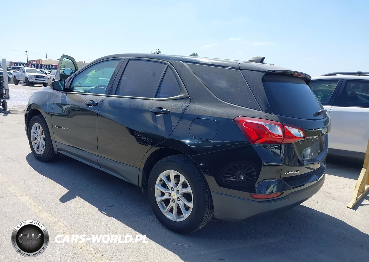 2019 Chevrolet Equinox Ls VIN:2GNAXHEVXK6216684 - 3