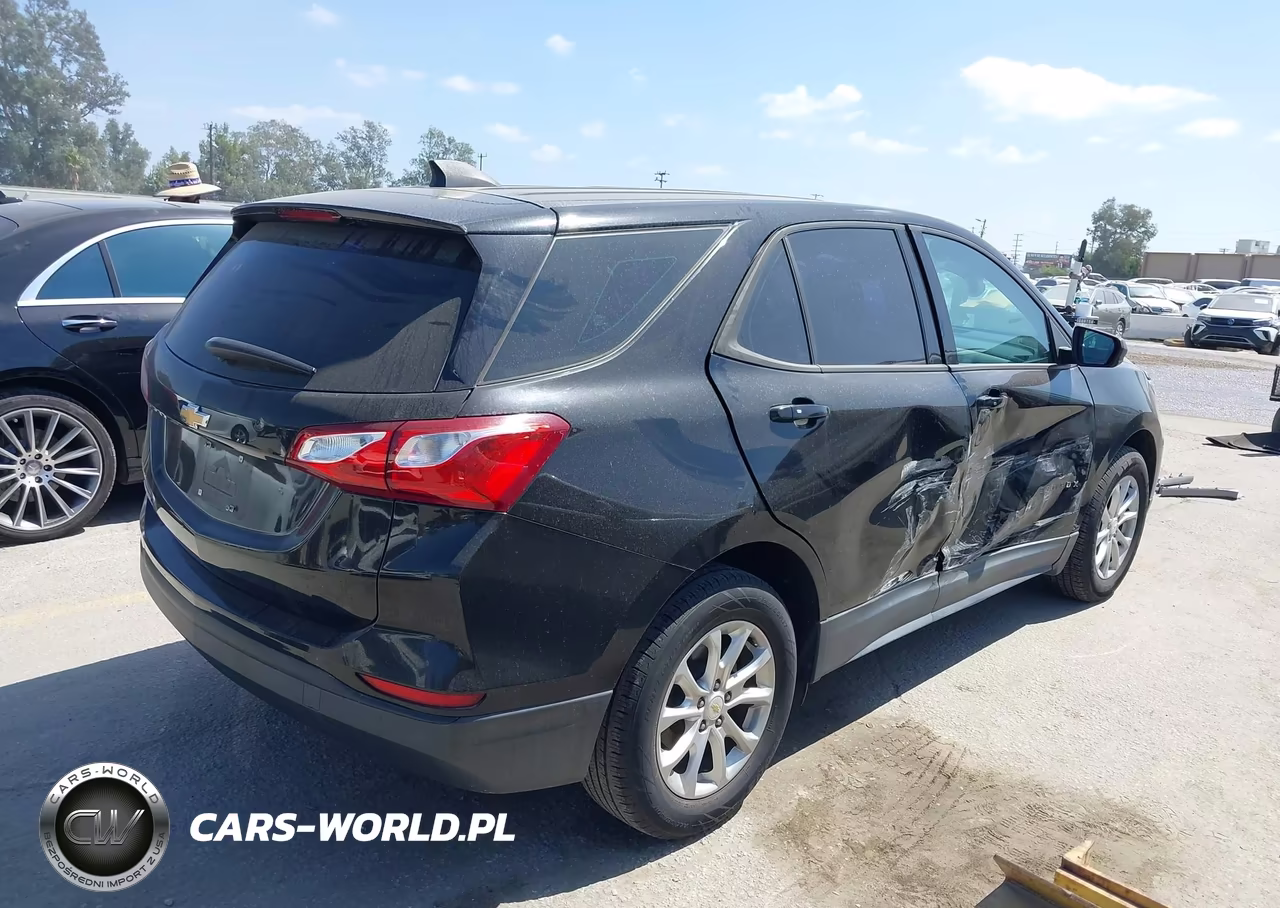 2019 Chevrolet Equinox Ls VIN:2GNAXHEVXK6216684 - 4