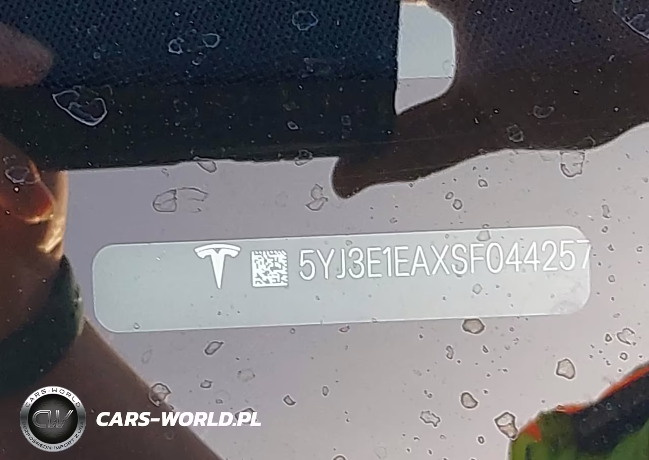 2025 Tesla Model 3 Long Range Rear-Wheel Drive-Standard Rear-Wheel Drive VIN:5YJ3E1EAXSF044257 - 9
