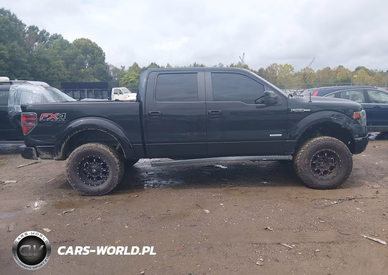 2013 Ford F-150 Fx4 VIN:1FTFW1ET6DKD25456 - 13