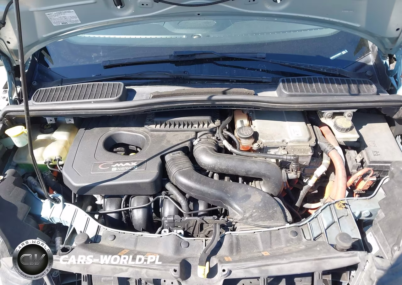 2014 Ford C-Max Energi Sel VIN:1FADP5CU7EL503691 - 10