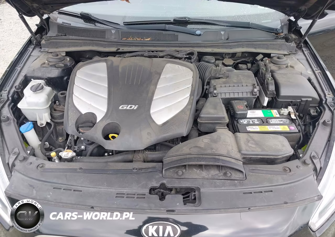 2014 Kia Cadenza Premium VIN:KNALN4D79E5131934 - 10