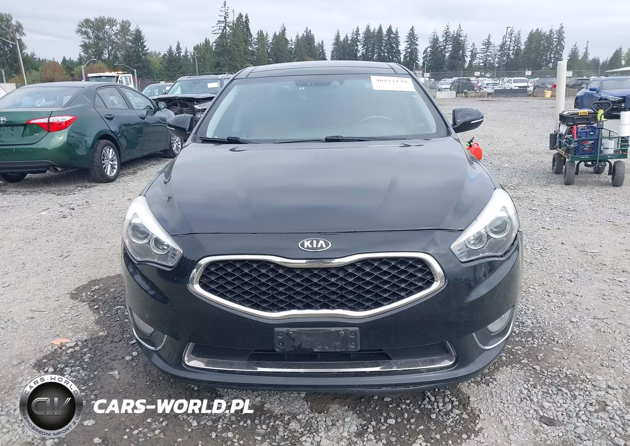 2014 Kia Cadenza Premium VIN:KNALN4D79E5131934 - 12