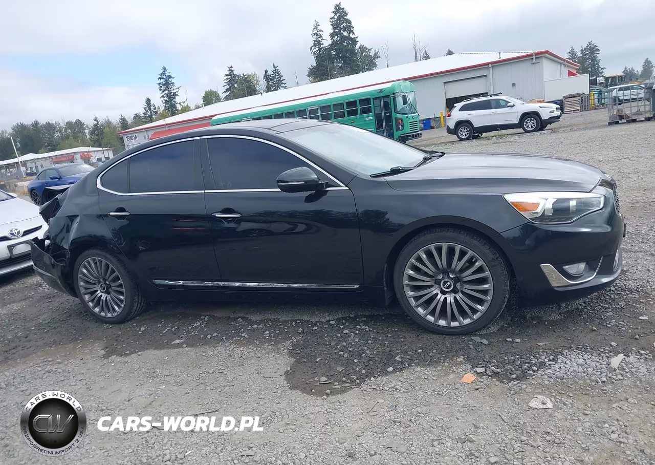 2014 Kia Cadenza Premium VIN:KNALN4D79E5131934 - 13