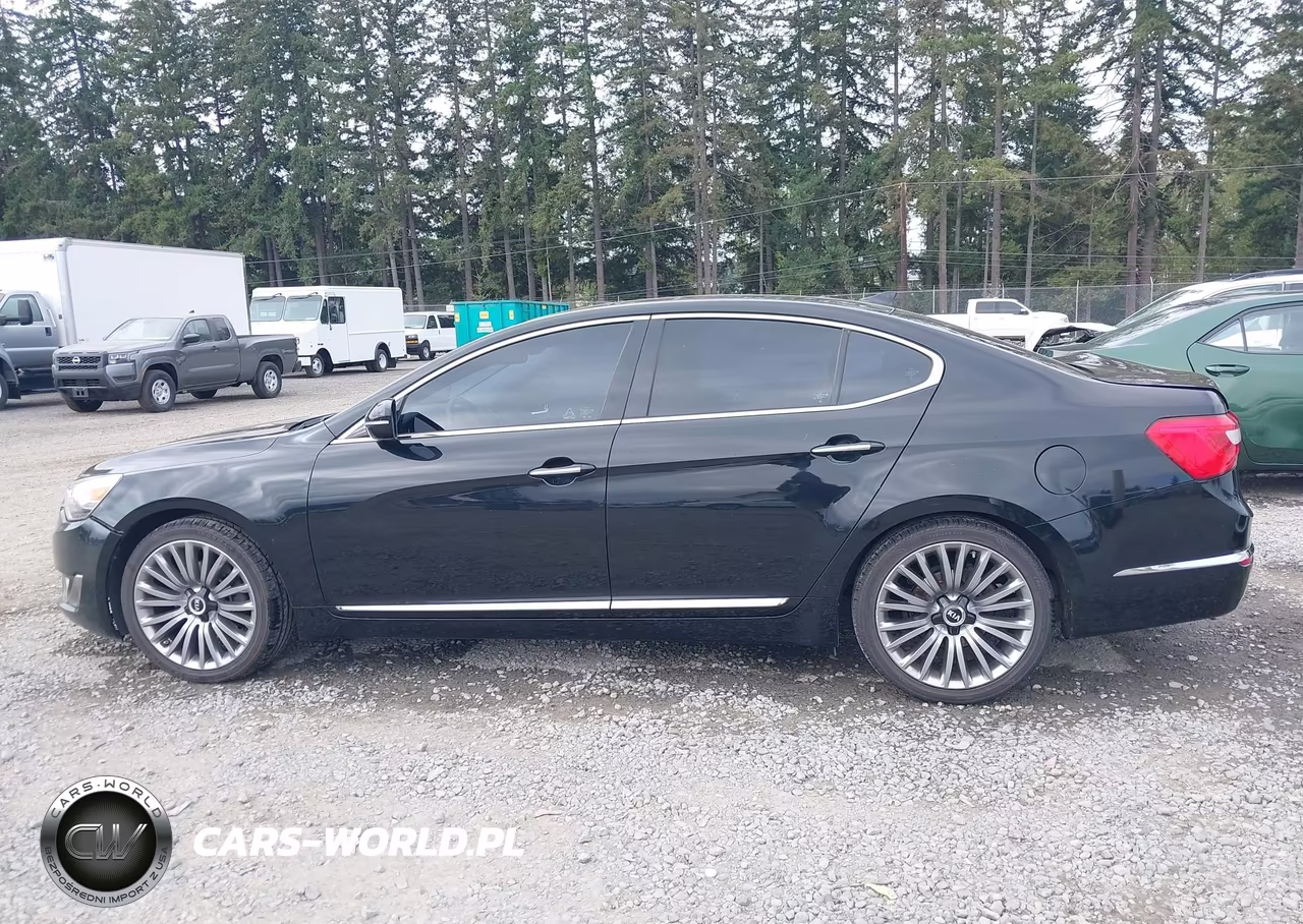 2014 Kia Cadenza Premium VIN:KNALN4D79E5131934 - 14