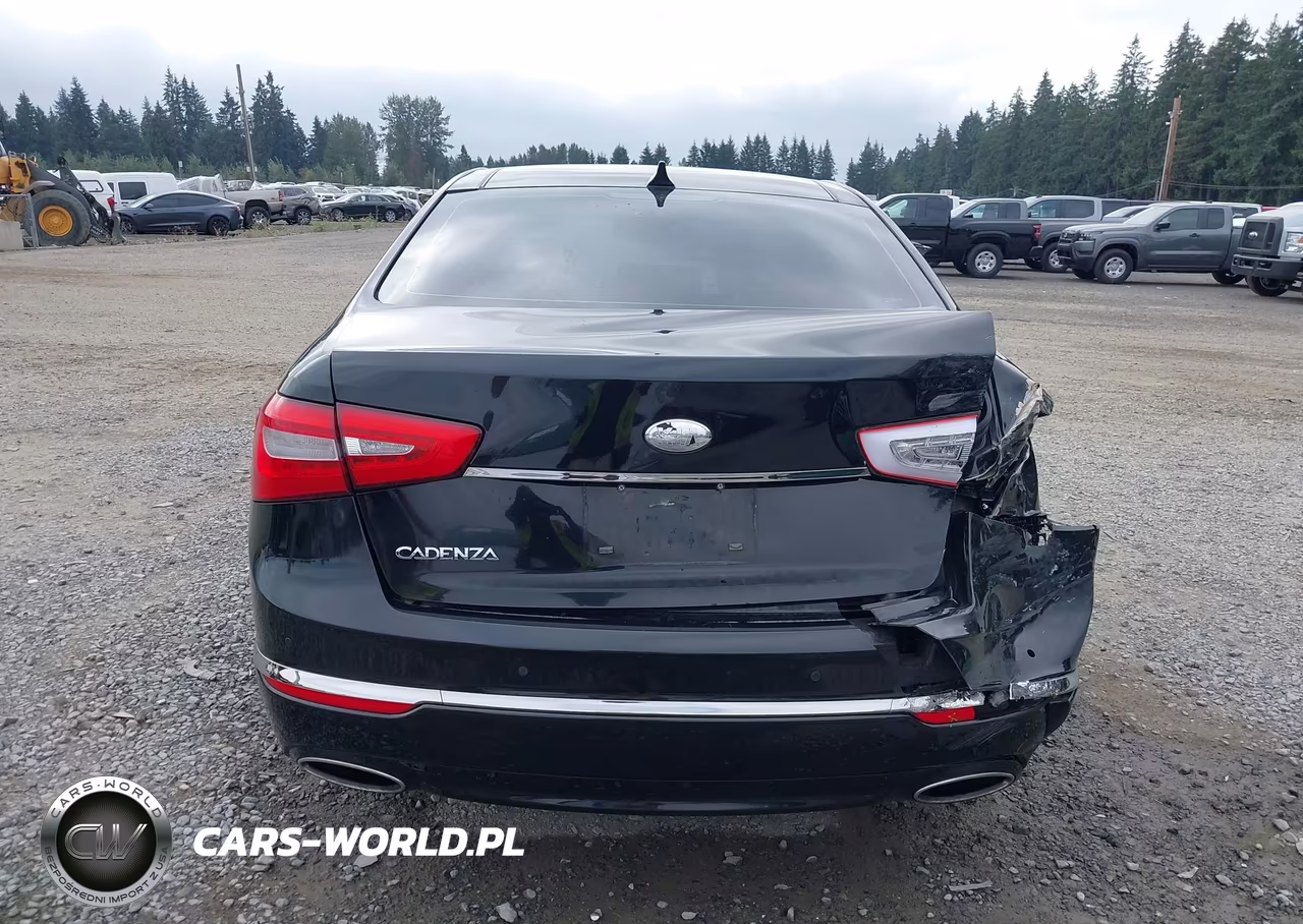 2014 Kia Cadenza Premium VIN:KNALN4D79E5131934 - 16
