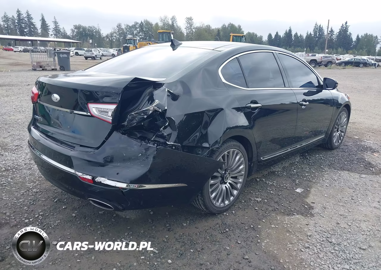 2014 Kia Cadenza Premium VIN:KNALN4D79E5131934 - 4