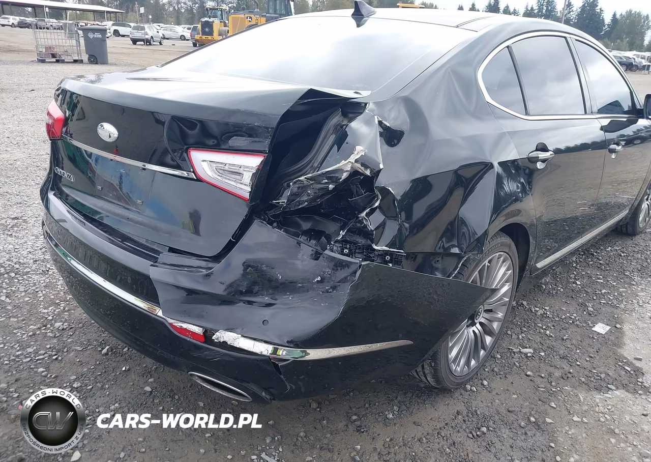2014 Kia Cadenza Premium VIN:KNALN4D79E5131934 - 6