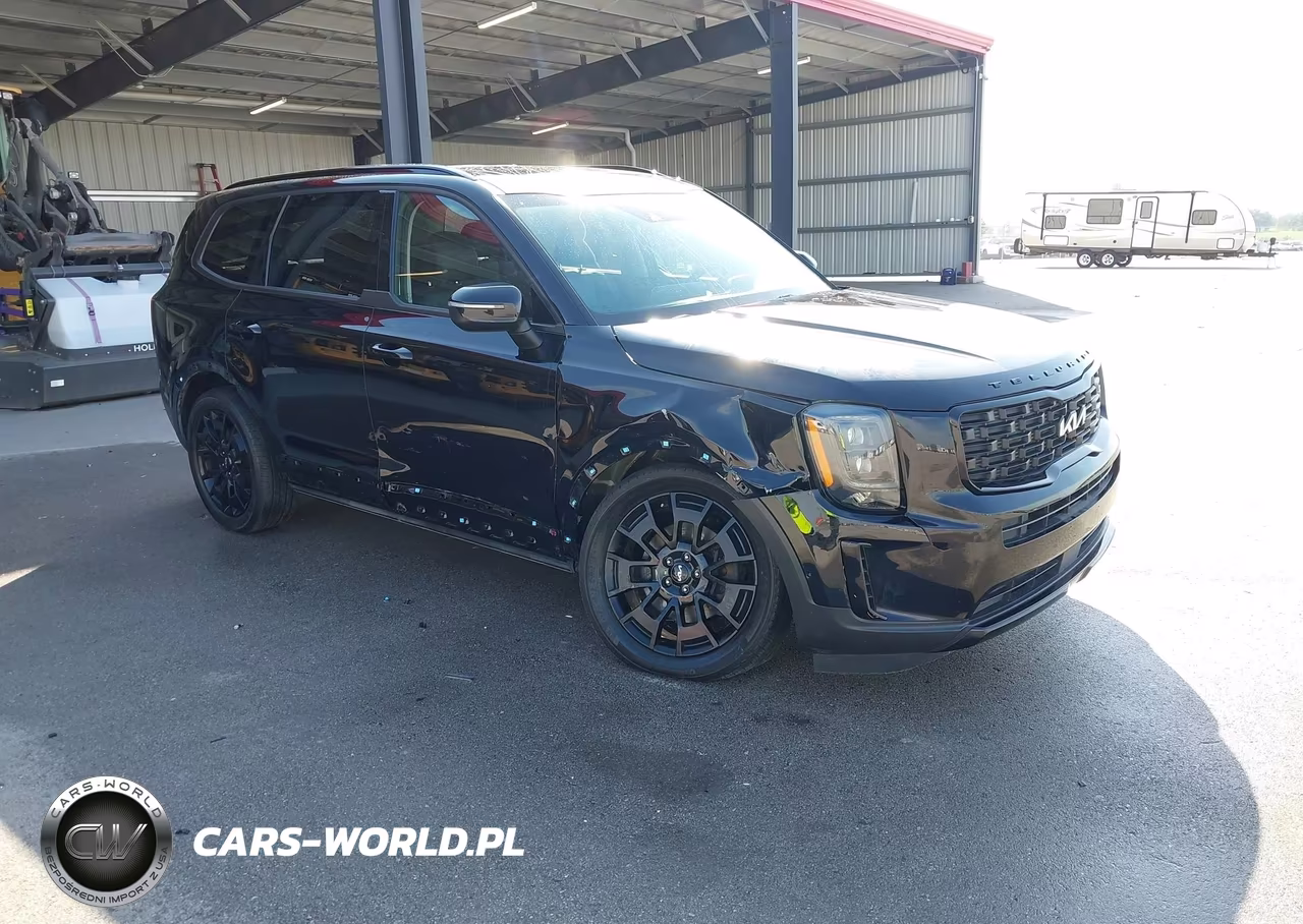 2022 Kia Telluride Ex VIN:5XYP3DHC4NG314845 - 1