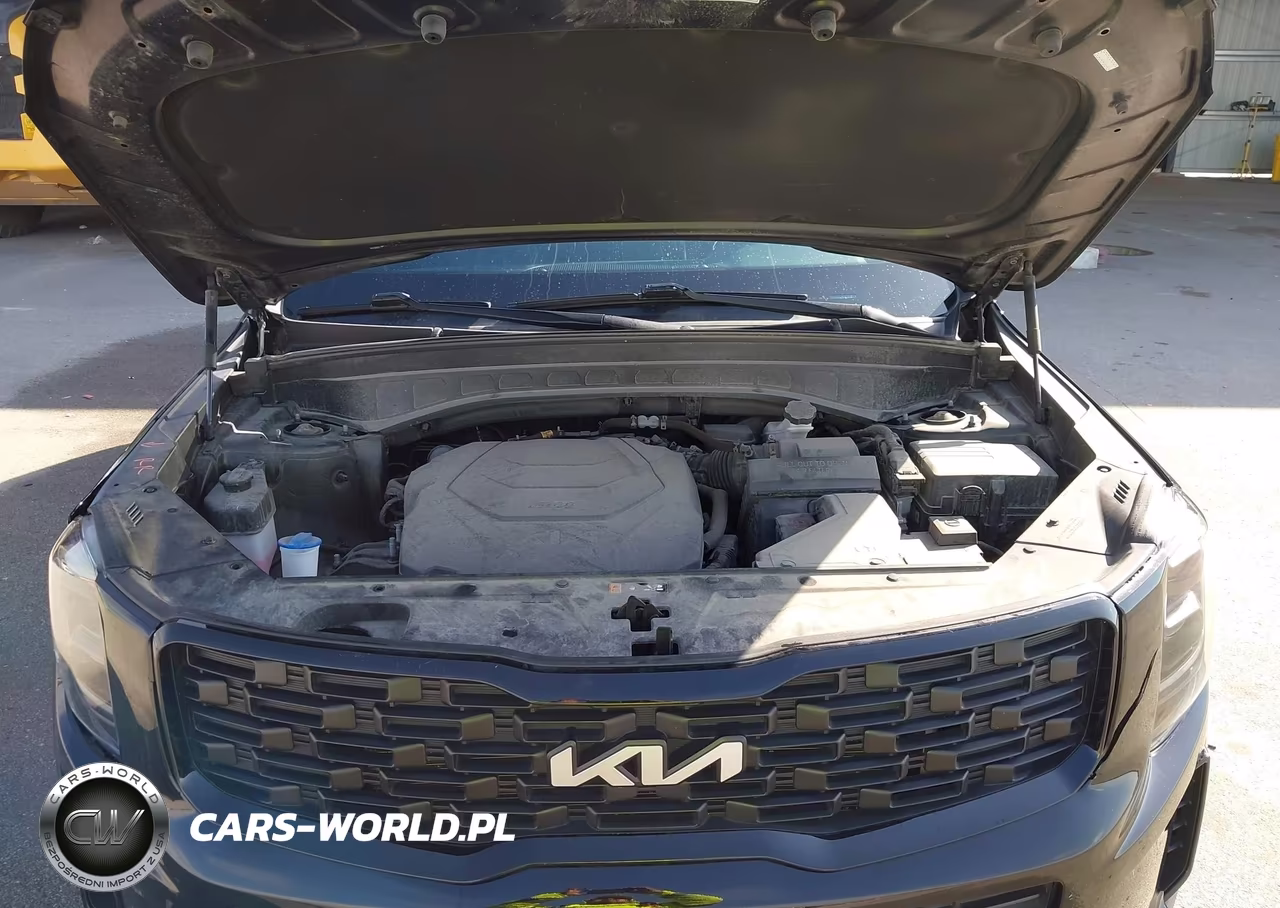 2022 Kia Telluride Ex VIN:5XYP3DHC4NG314845 - 10