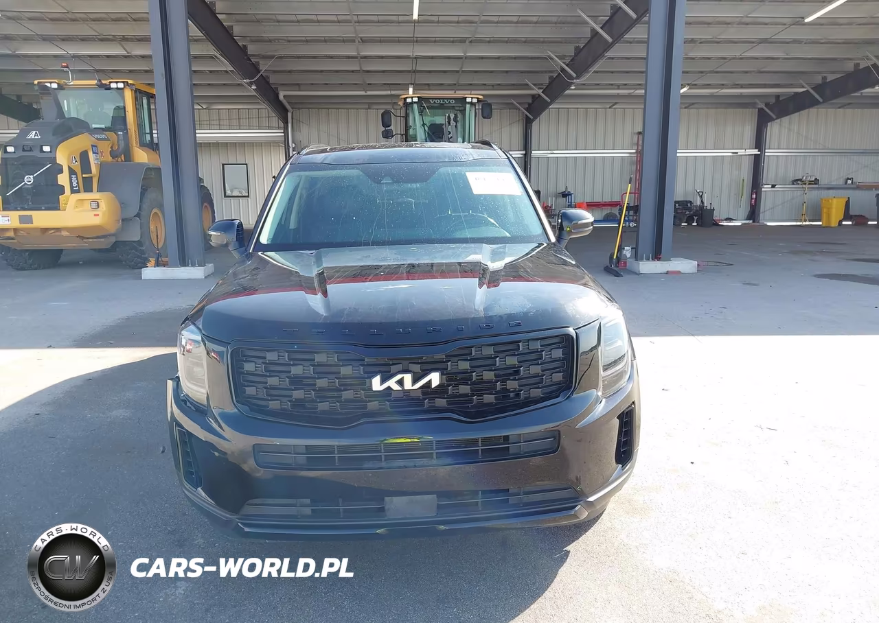 2022 Kia Telluride Ex VIN:5XYP3DHC4NG314845 - 13
