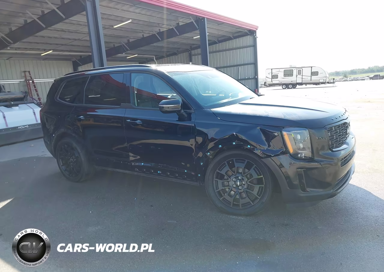 2022 Kia Telluride Ex VIN:5XYP3DHC4NG314845 - 14