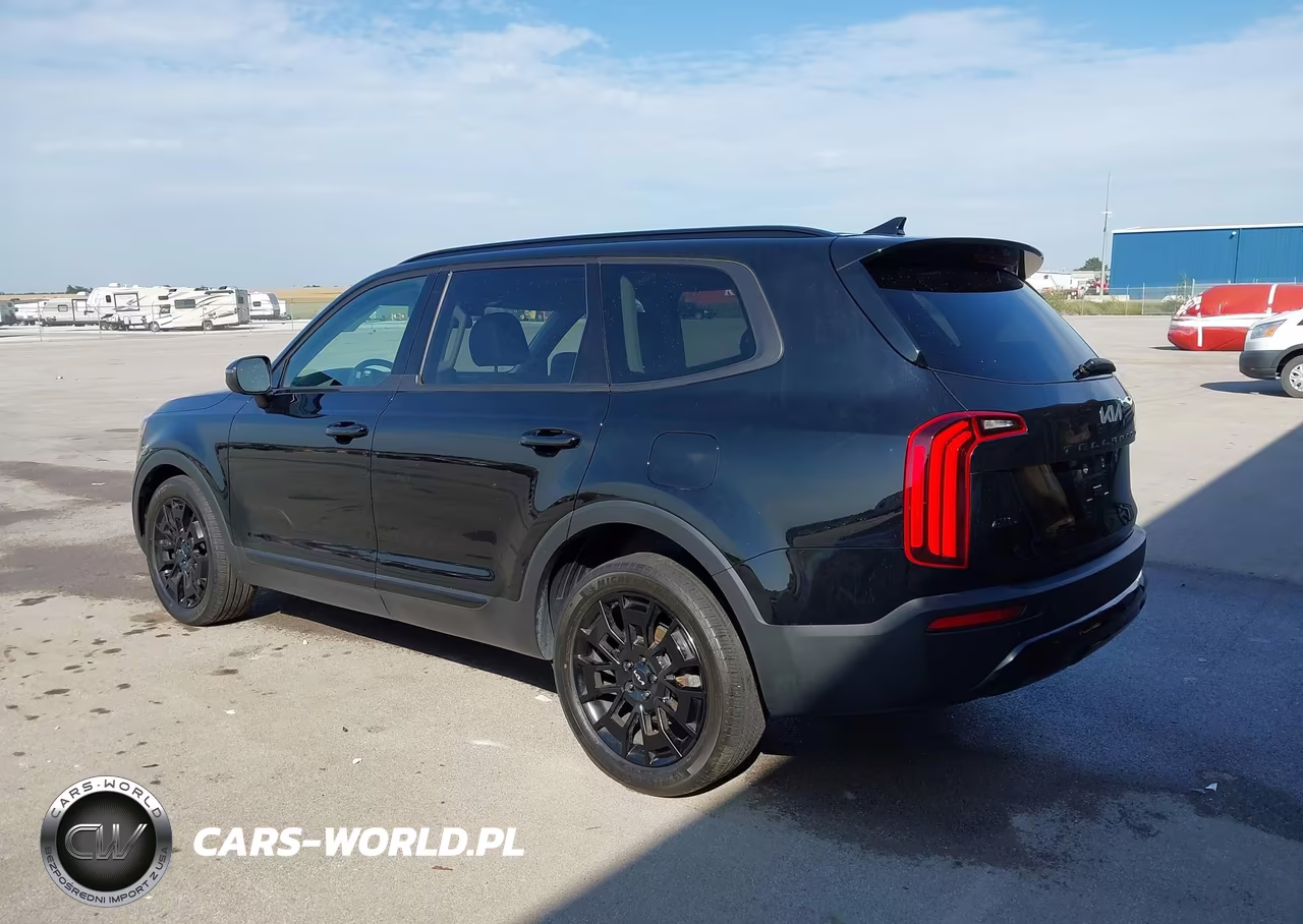 2022 Kia Telluride Ex VIN:5XYP3DHC4NG314845 - 15