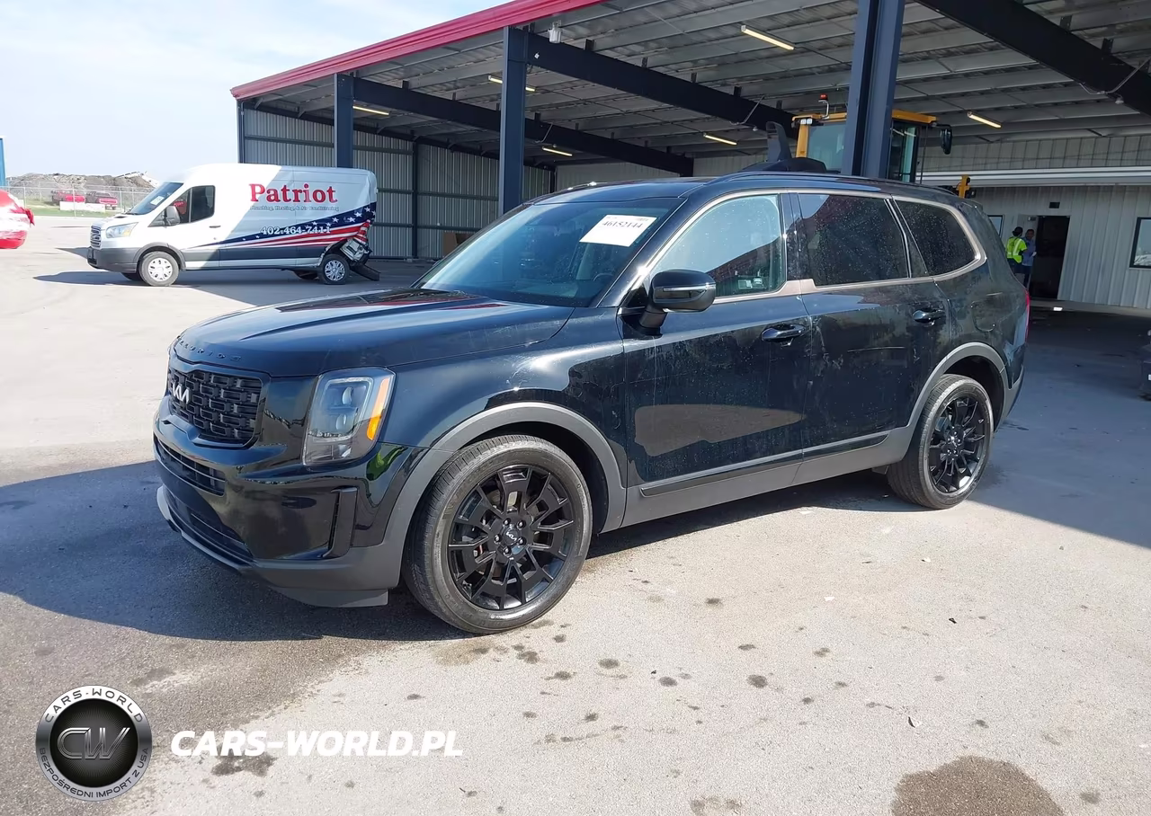 2022 Kia Telluride Ex VIN:5XYP3DHC4NG314845 - 2