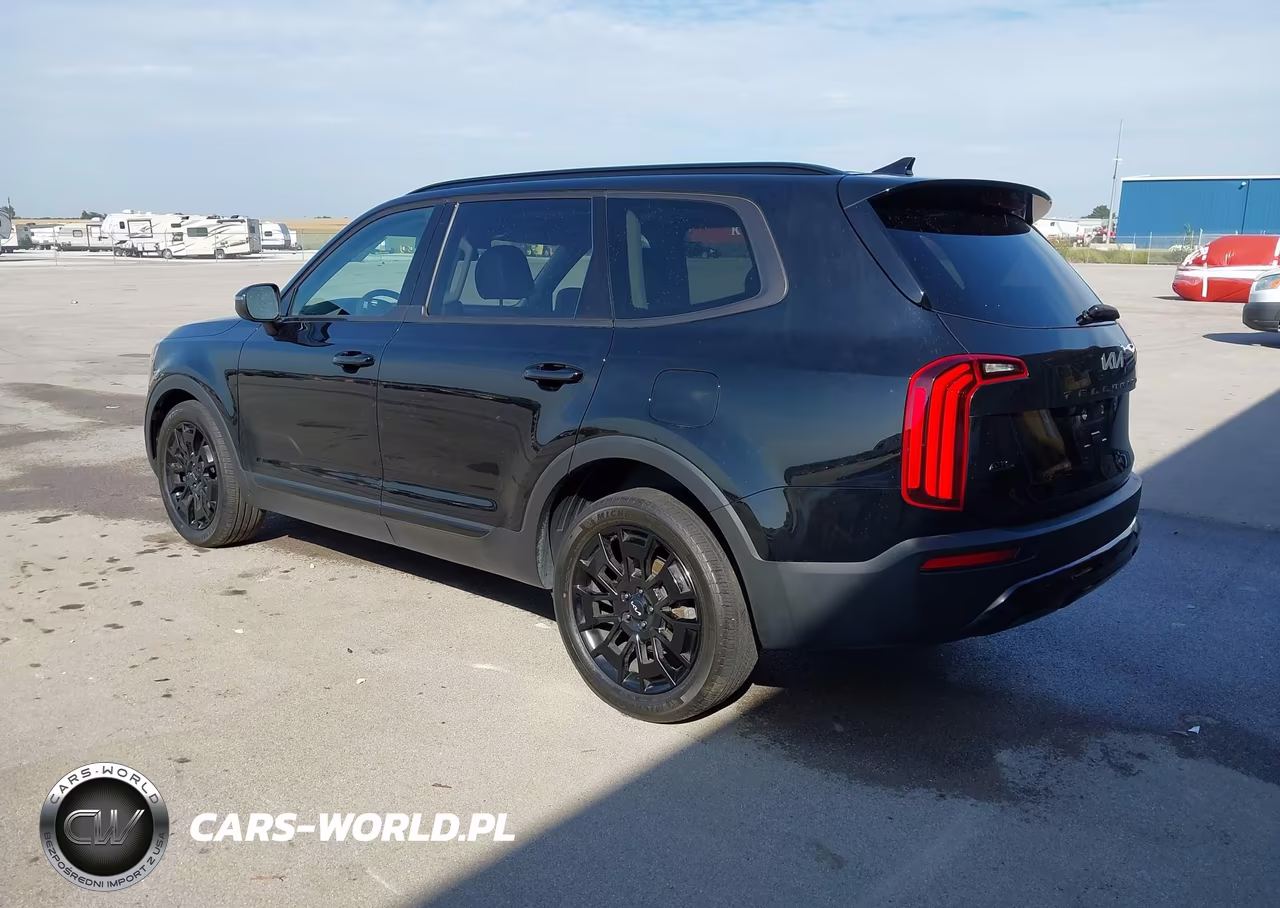 2022 Kia Telluride Ex VIN:5XYP3DHC4NG314845 - 3