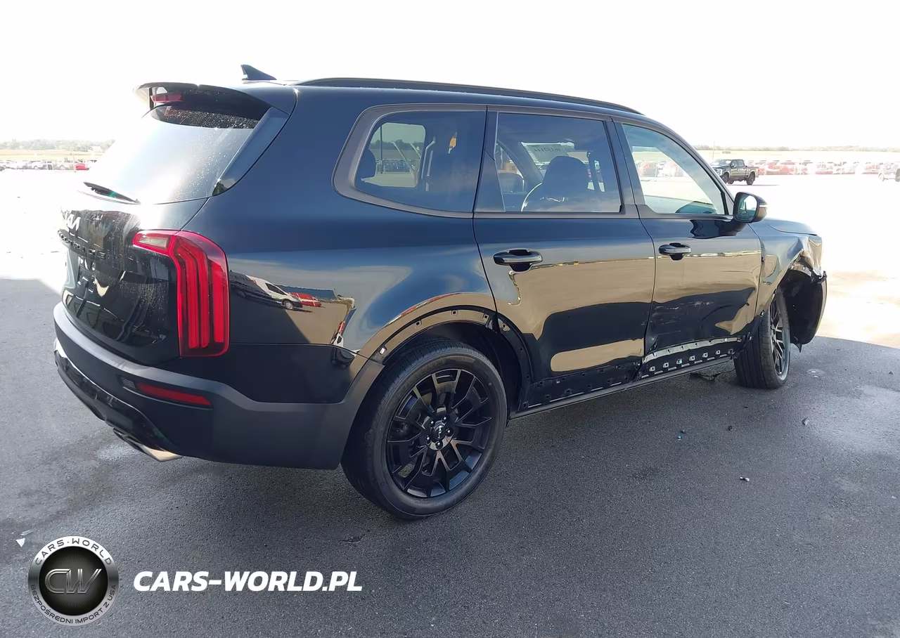 2022 Kia Telluride Ex VIN:5XYP3DHC4NG314845 - 4