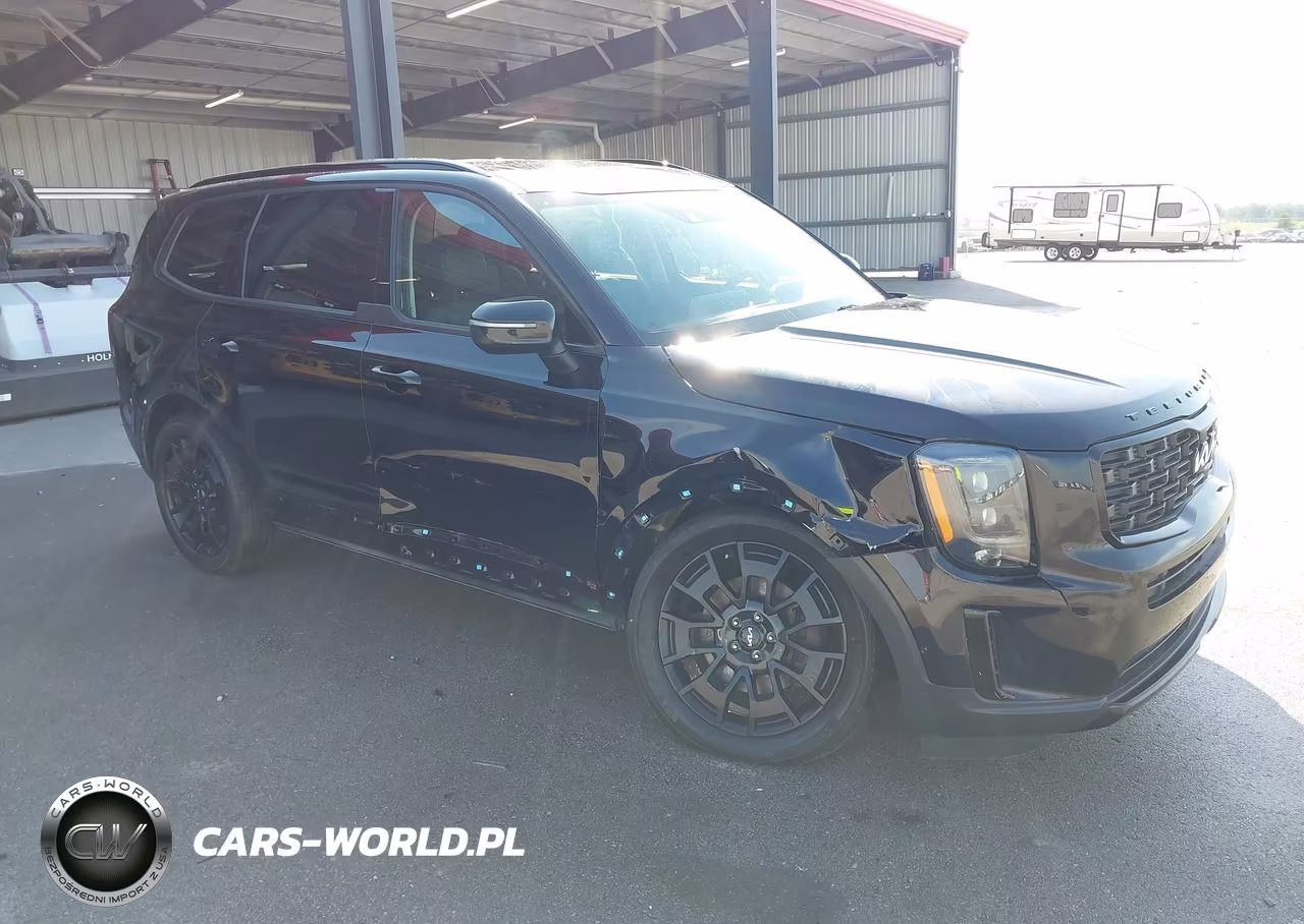 2022 Kia Telluride Ex VIN:5XYP3DHC4NG314845 - 6
