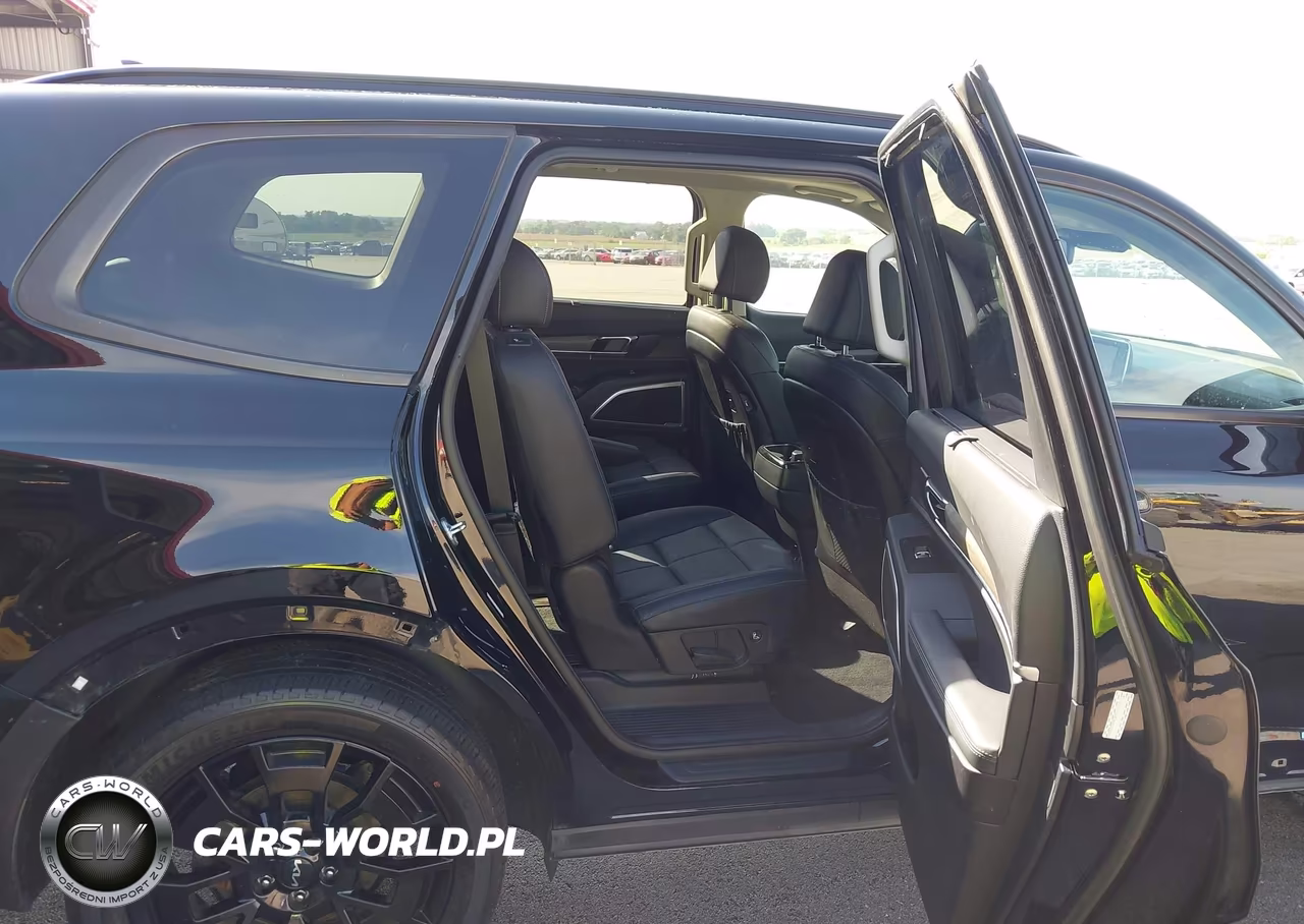 2022 Kia Telluride Ex VIN:5XYP3DHC4NG314845 - 8