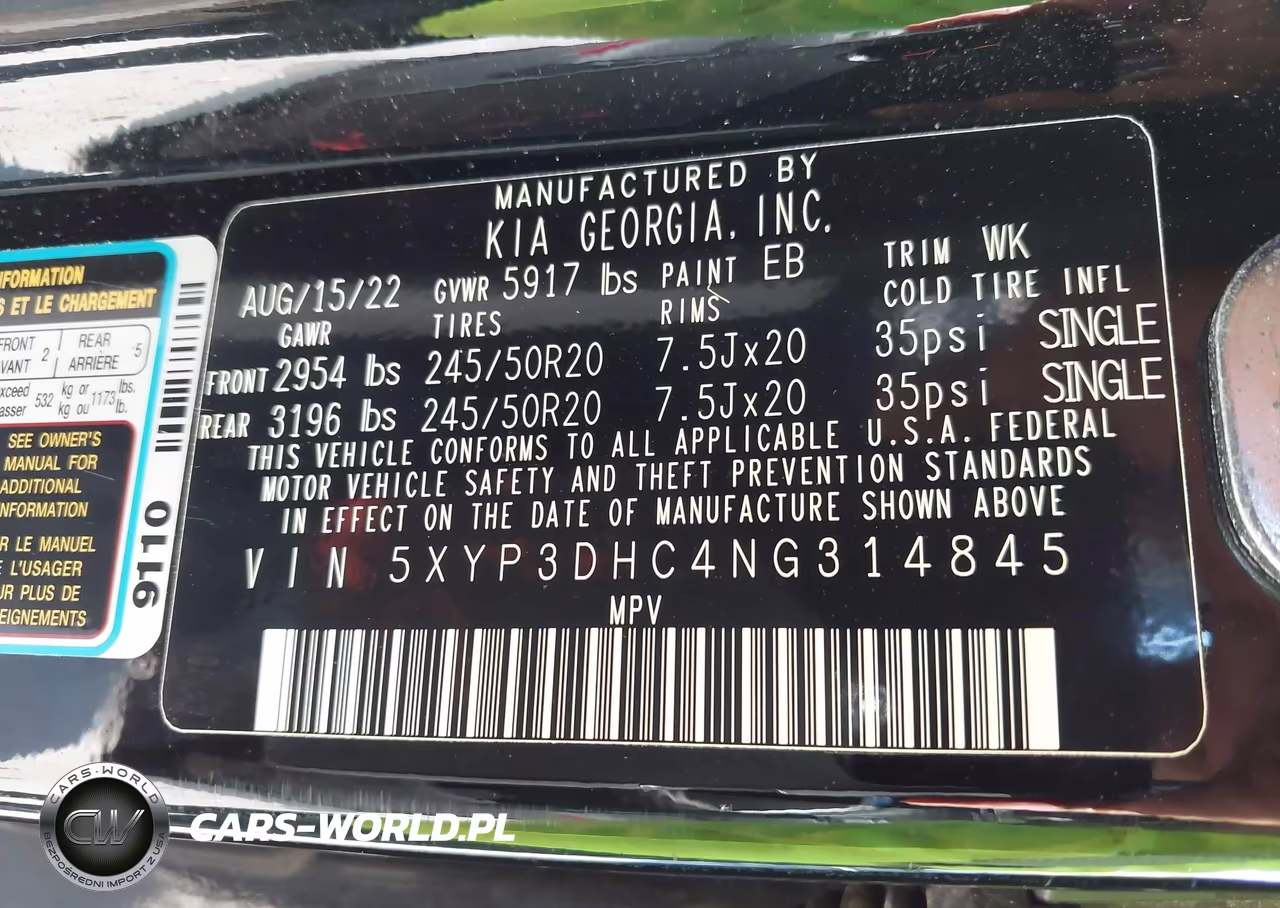 2022 Kia Telluride Ex VIN:5XYP3DHC4NG314845 - 9