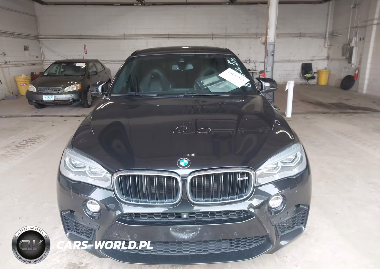 2015 BMW X6 M VIN:5YMKW8C56F0G93981 - 13