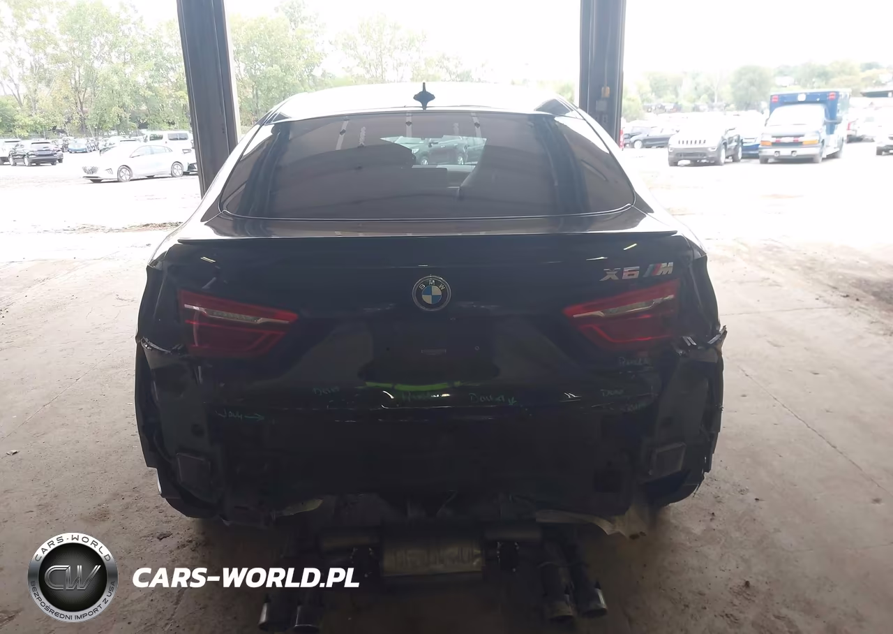 2015 BMW X6 M VIN:5YMKW8C56F0G93981 - 17