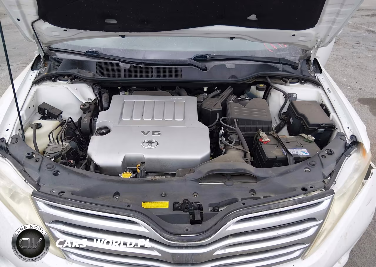 2009 Toyota Venza Base V6 VIN:4T3ZK11A59U007310 - 10