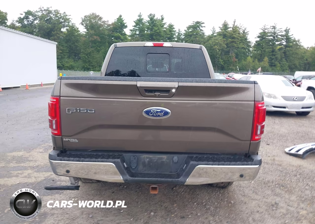 2016 Ford F-150 Lariat VIN:1FTEW1EP3GFC70444 - 17
