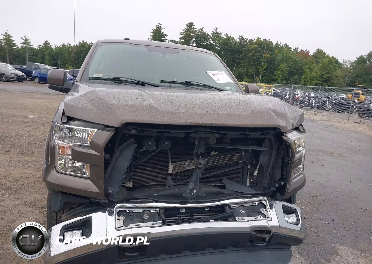 2016 Ford F-150 Lariat VIN:1FTEW1EP3GFC70444 - 18