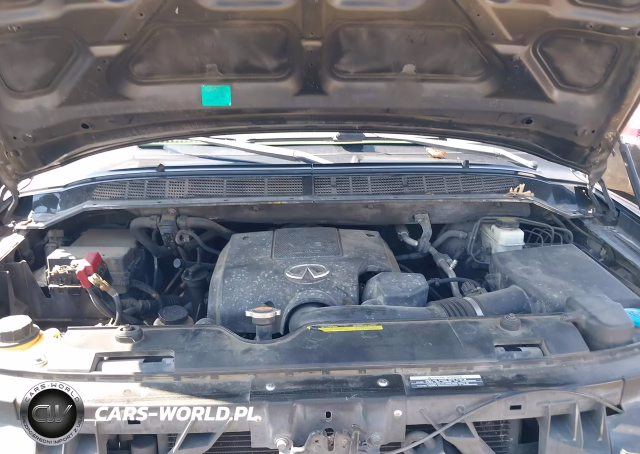 2010 Infiniti Qx56 VIN:5N3ZA0NF2AN902321 - 10
