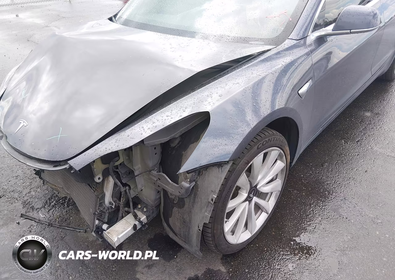2018 Tesla Model 3 VIN:5YJ3E1EA9JF178031 - 19