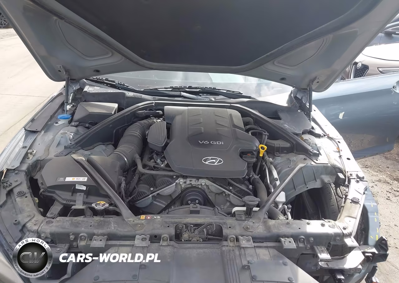 2015 Hyundai Genesis 3.8 VIN:KMHGN4JE0FU084030 - 10