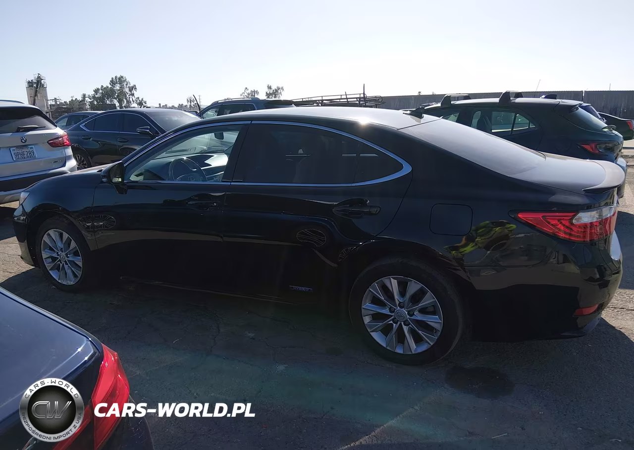 2013 Lexus Es 300H VIN:JTHBW1GG4D2016436 - 14