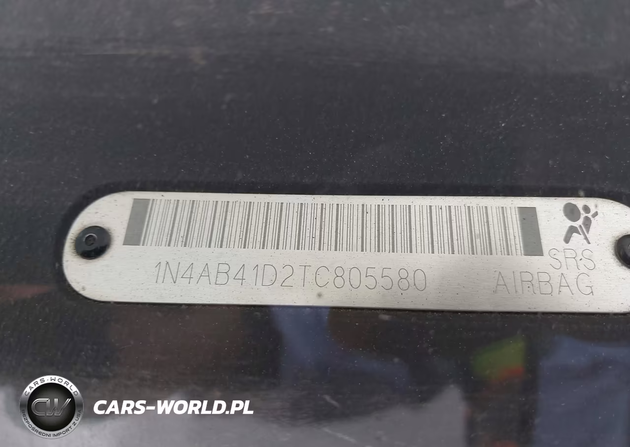 1996 Nissan Sentra E-Xe-Gxe-Gle VIN:1N4AB41D2TC805580 - 9