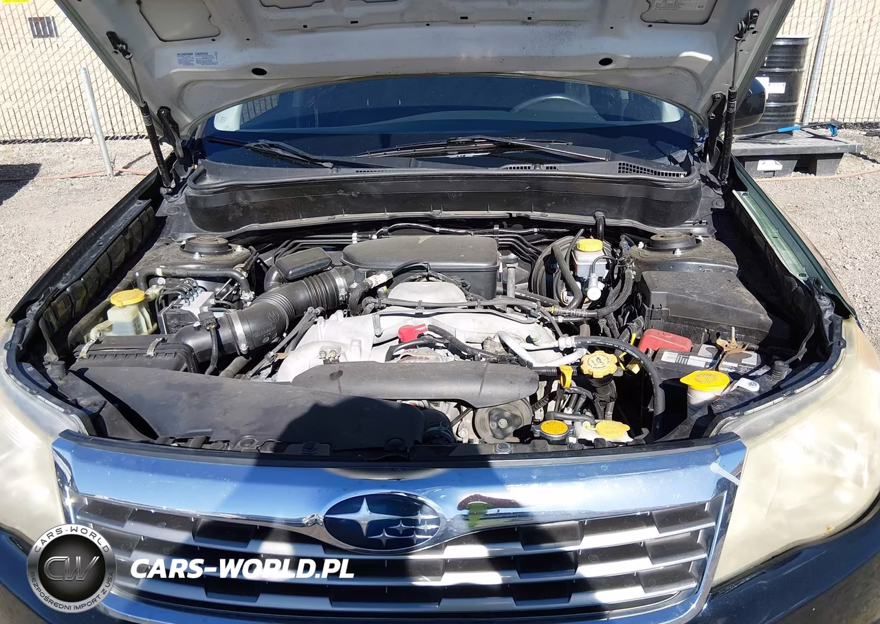 2010 Subaru Forester 2.5X Limited VIN:JF2SH6DC3AH724746 - 10