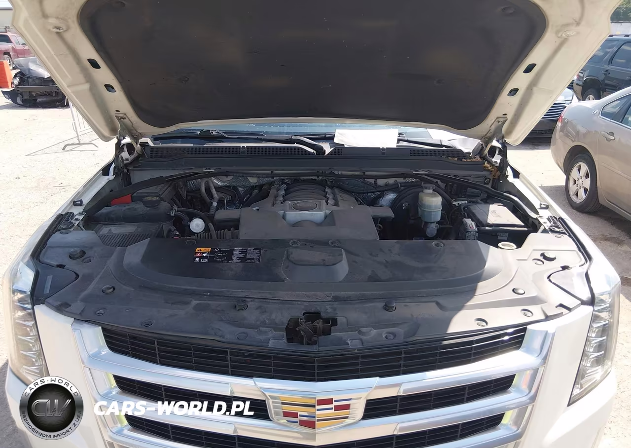 2015 Cadillac Escalade Esv Premium VIN:1GYS4TKJ2FR534880 - 10