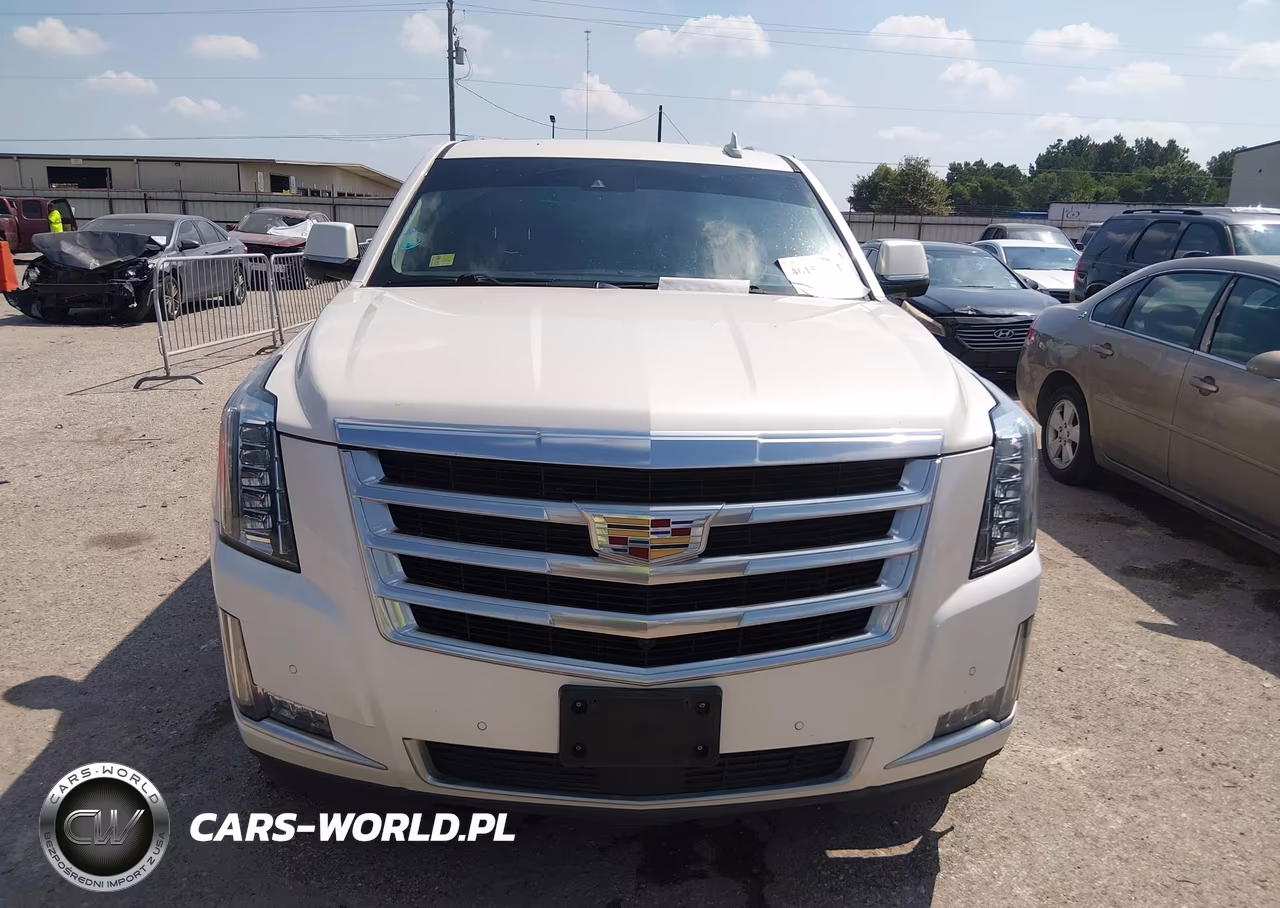 2015 Cadillac Escalade Esv Premium VIN:1GYS4TKJ2FR534880 - 12