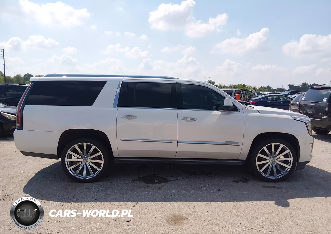 2015 Cadillac Escalade Esv Premium VIN:1GYS4TKJ2FR534880 - 13