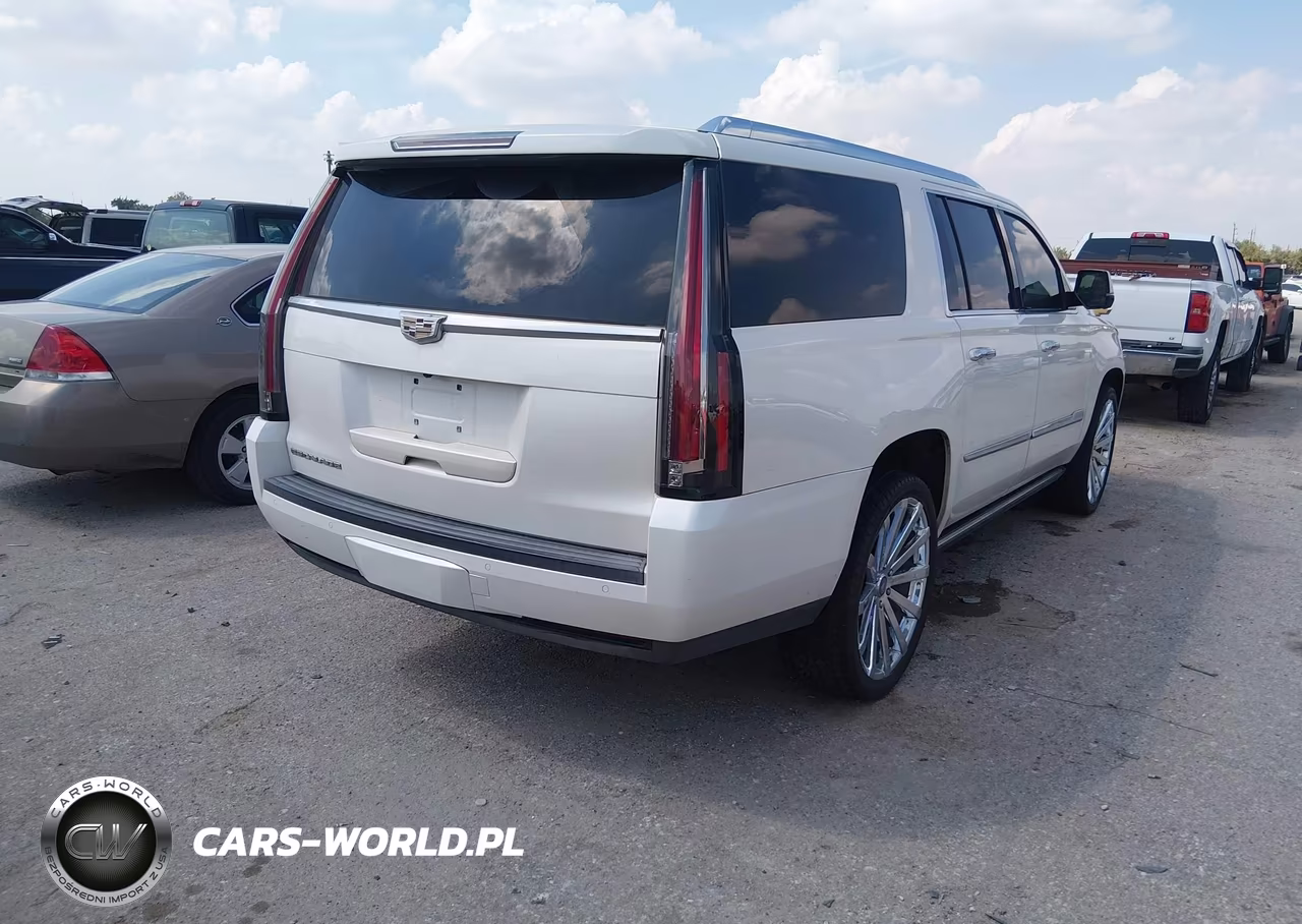 2015 Cadillac Escalade Esv Premium VIN:1GYS4TKJ2FR534880 - 4