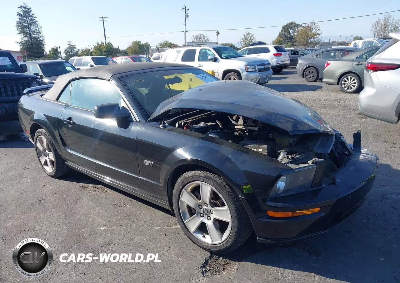 2006 Ford Mustang Gt VIN:1ZVFT85H765252870 - 1