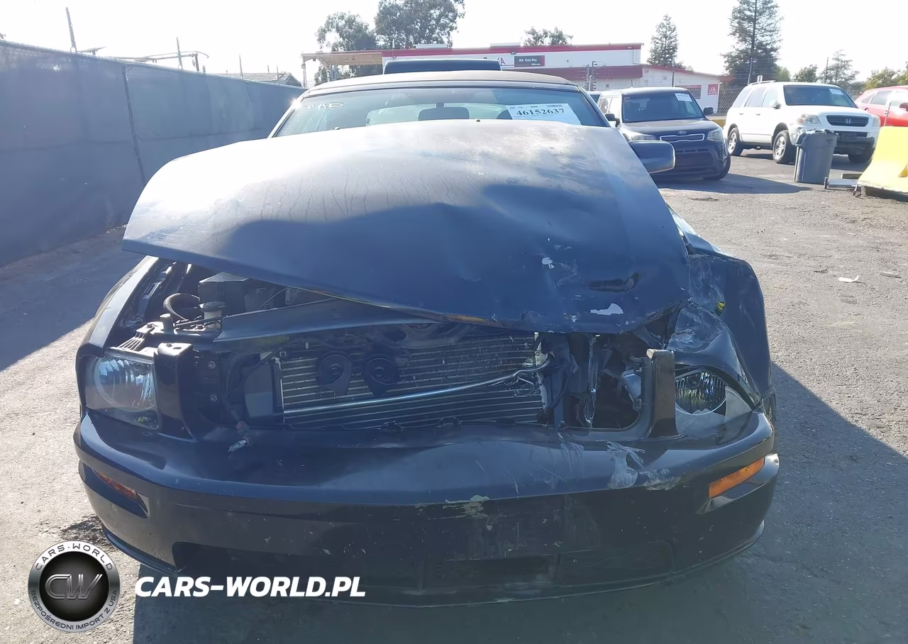 2006 Ford Mustang Gt VIN:1ZVFT85H765252870 - 12