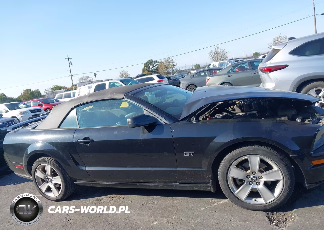 2006 Ford Mustang Gt VIN:1ZVFT85H765252870 - 13