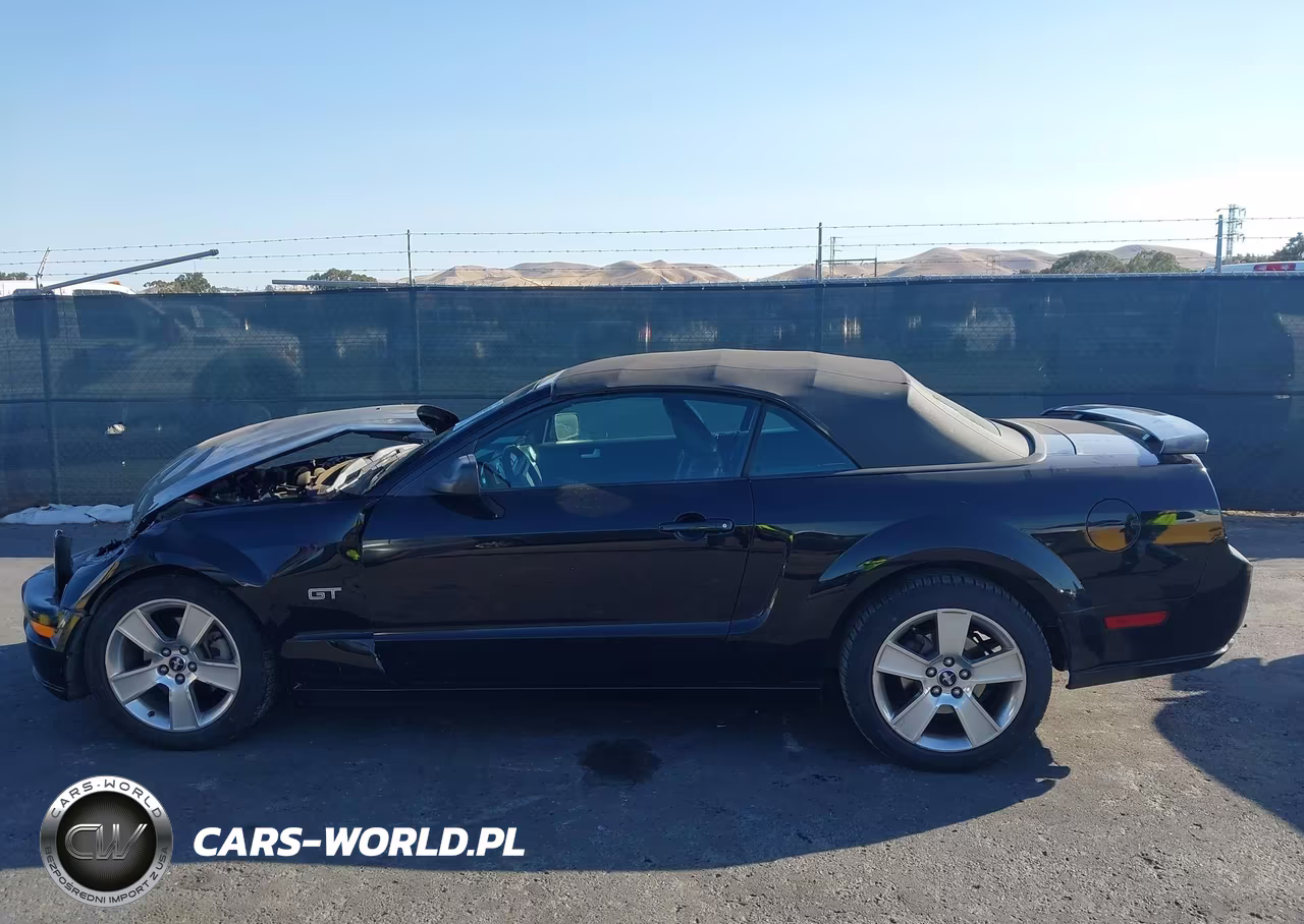 2006 Ford Mustang Gt VIN:1ZVFT85H765252870 - 14