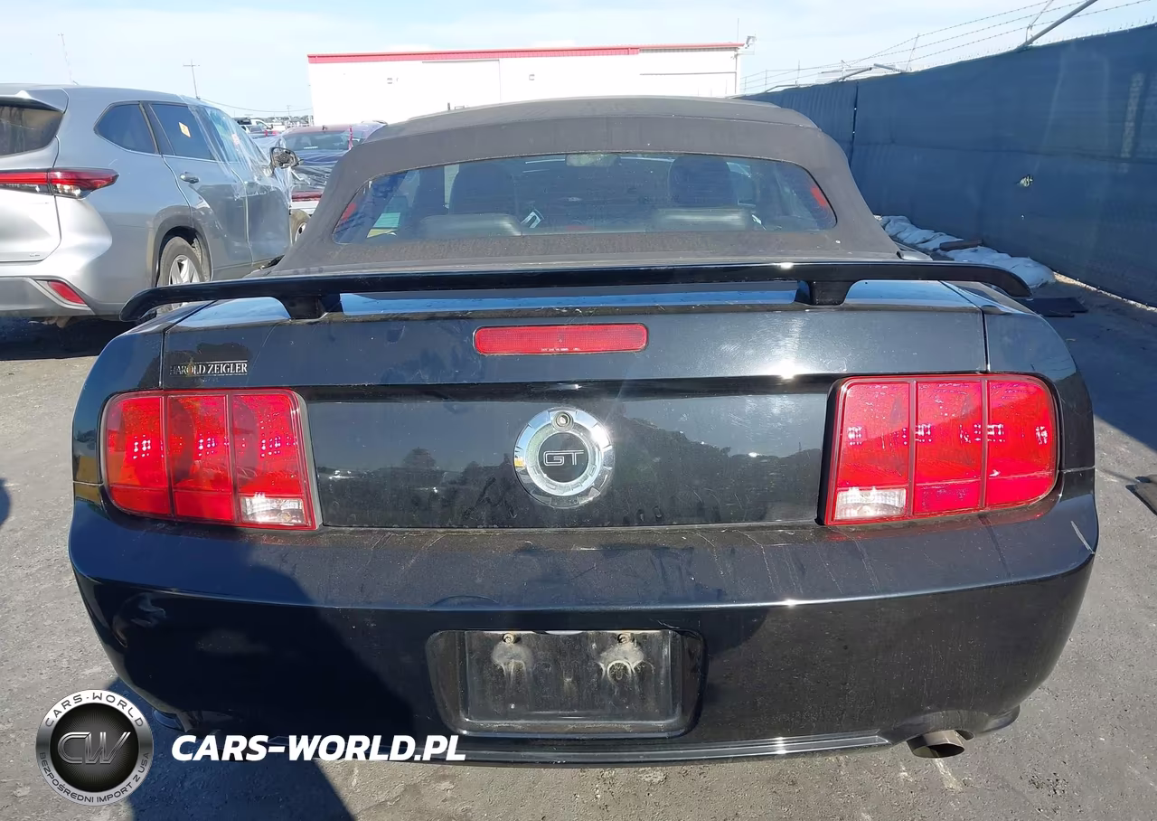 2006 Ford Mustang Gt VIN:1ZVFT85H765252870 - 16