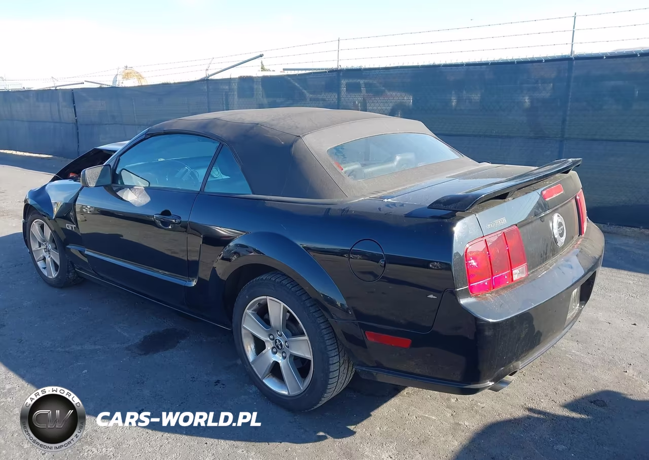 2006 Ford Mustang Gt VIN:1ZVFT85H765252870 - 3