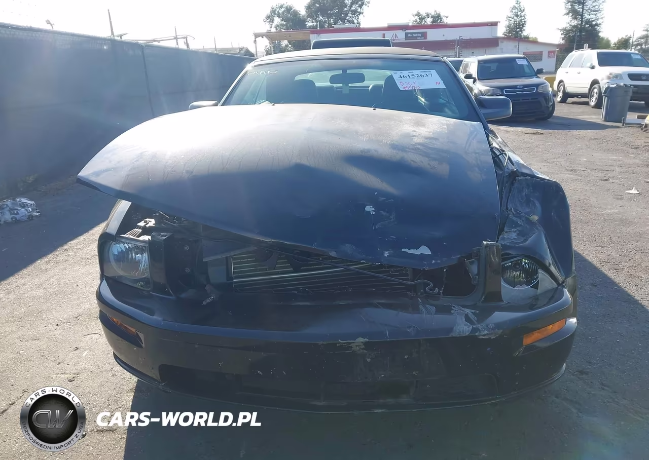 2006 Ford Mustang Gt VIN:1ZVFT85H765252870 - 6