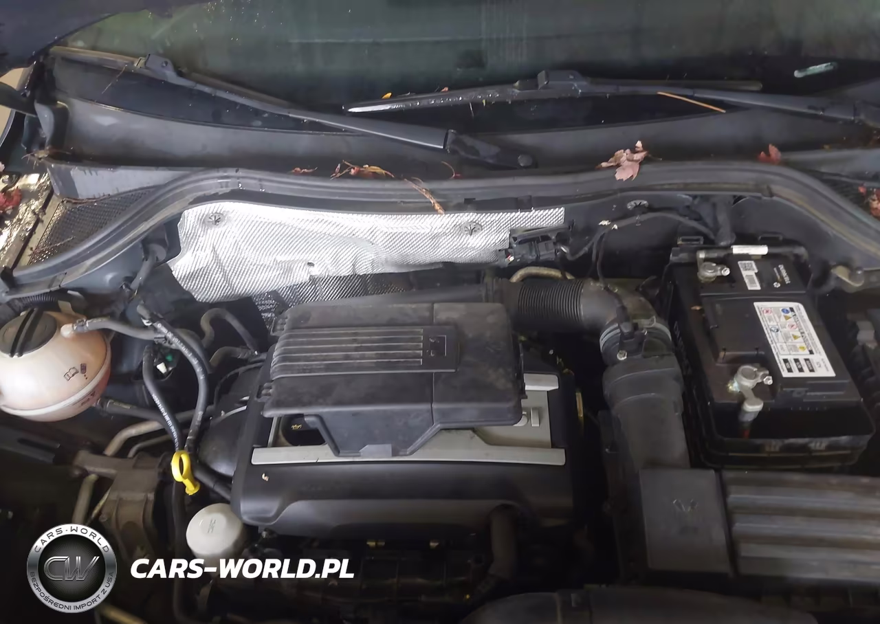 2014 Volkswagen Tiguan Sel VIN:WVGBV3AX2EW622929 - 10