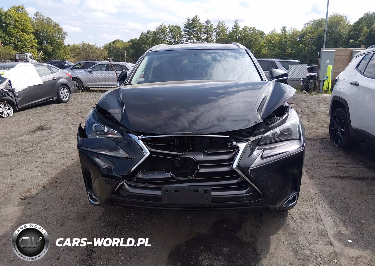 2015 Lexus Nx 200T VIN:JTJBARBZXF2000250 - 12
