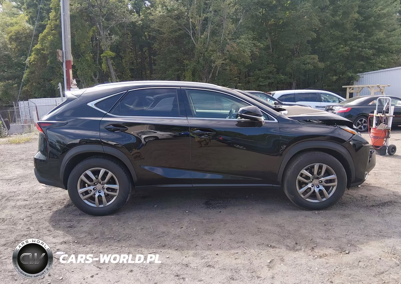 2015 Lexus Nx 200T VIN:JTJBARBZXF2000250 - 13