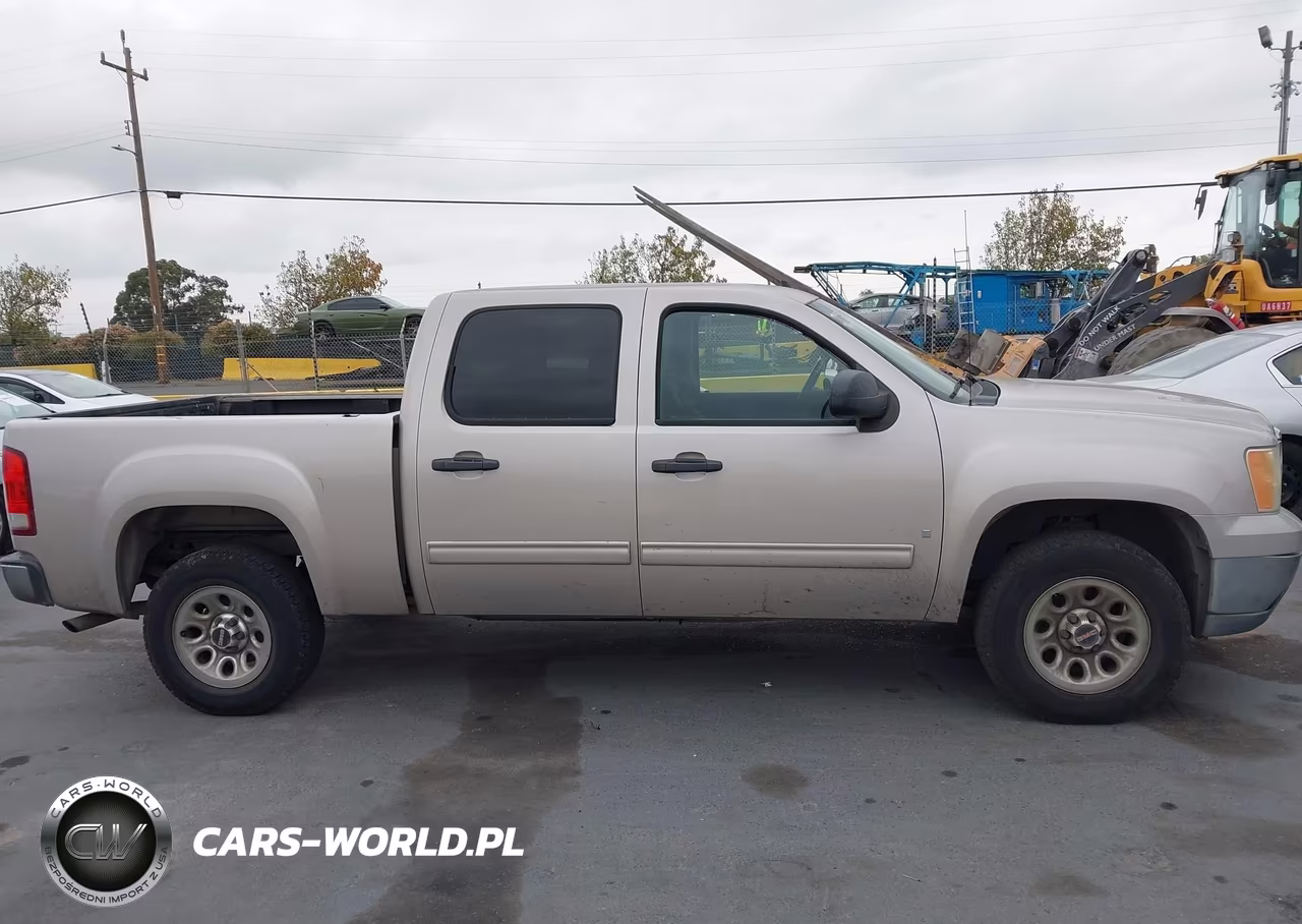2009 GMC Sierra 1500 Sle VIN:3GTEC23039G249776 - 13